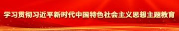 快用大鸡巴操操我的骚逼视频学习贯彻习近平新时代中国特色社会主义思想主题教育